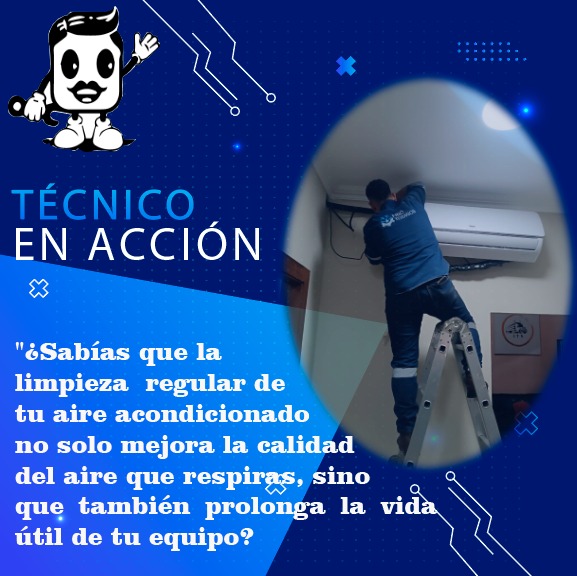 imagen de whatsapp 2025 07 22 a las 13.13.53 f5e07425